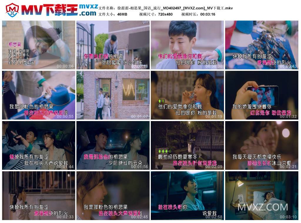 徐甜甜-相思果_国语_流行_MD402497